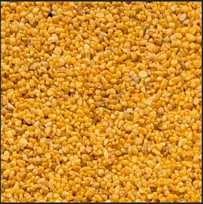 Chrysanthemum Yellow / 2-3mm
